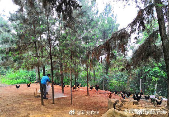 【黑料社区在线手机视频】离岸人民币兑美元涨364个基点，报7.2269