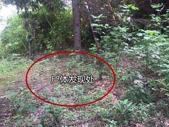 【黑料百科 - 今日黑料】漳州开发区交警大队三招整治大卡车违停