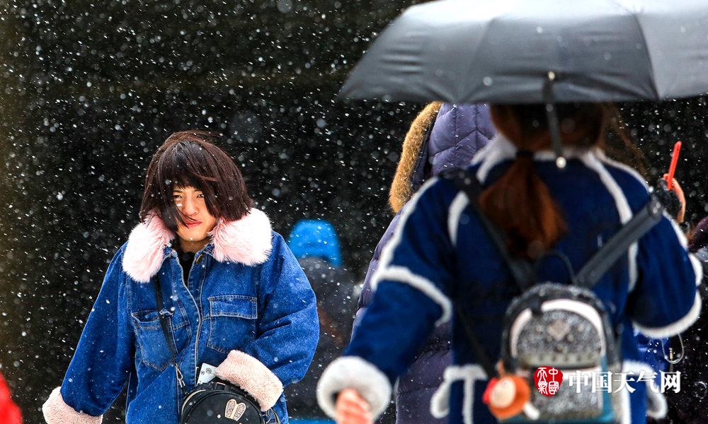 【51吃瓜下载安卓】多只宽基ETF会集呈现买入大单 部分债券ETF成交活泼