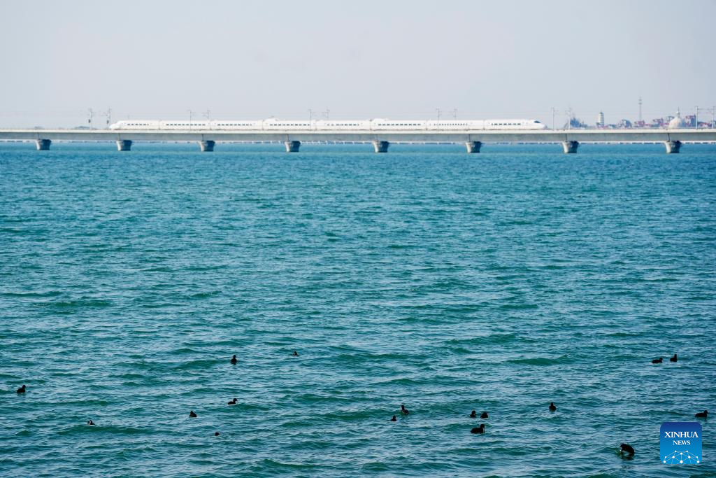 Yangtze River Delta witnesses progress in green, integrated ecological development