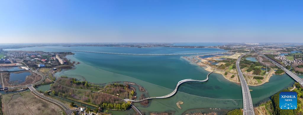 Yangtze River Delta witnesses progress in green, integrated ecological development