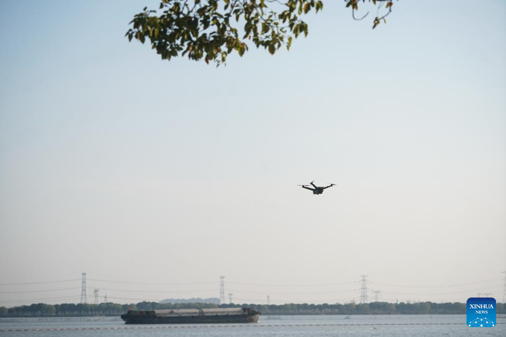 Yangtze River Delta witnesses progress in green, integrated ecological development