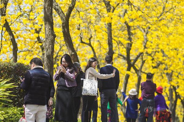【51吃瓜网怎么安装】澳大利亚3年期国债收益率跌落10个基点至3.45%