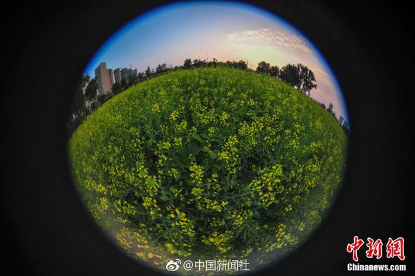 【黑料布打样怎么没了】中石化宁德年代携手构建换电网络生态 本年将发明不少于500座换电站