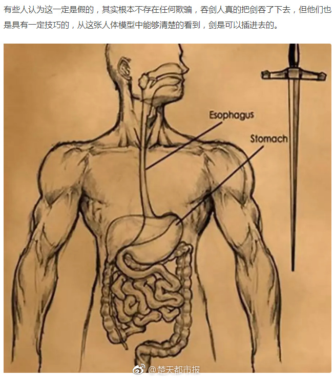 【91吃瓜网热心的朝阳群众往期福利网站】2亿年前化石被澳一校园萧瑟23年 上有66个恐龙脚印