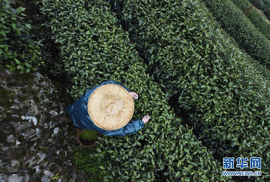 【51群众每日必吃大瓜全网更新】陈述显现我国民航工业对国民经济贡献率继续提高