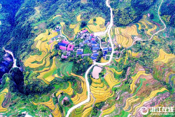 【黑料不打烊全网观看在线】上交所新动作！大力推进指数化出资高质量开展