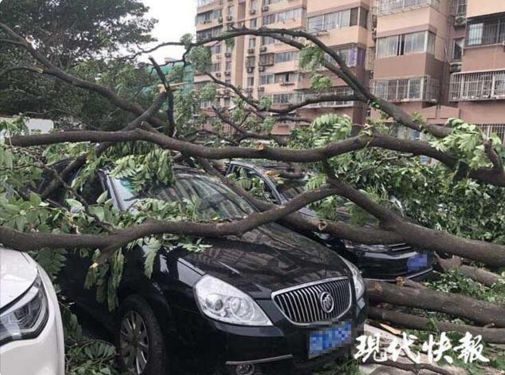 【黑料网曝门黑料吃瓜区】晋江灵源曾林社区青少年文体活动中心进入建造阶段