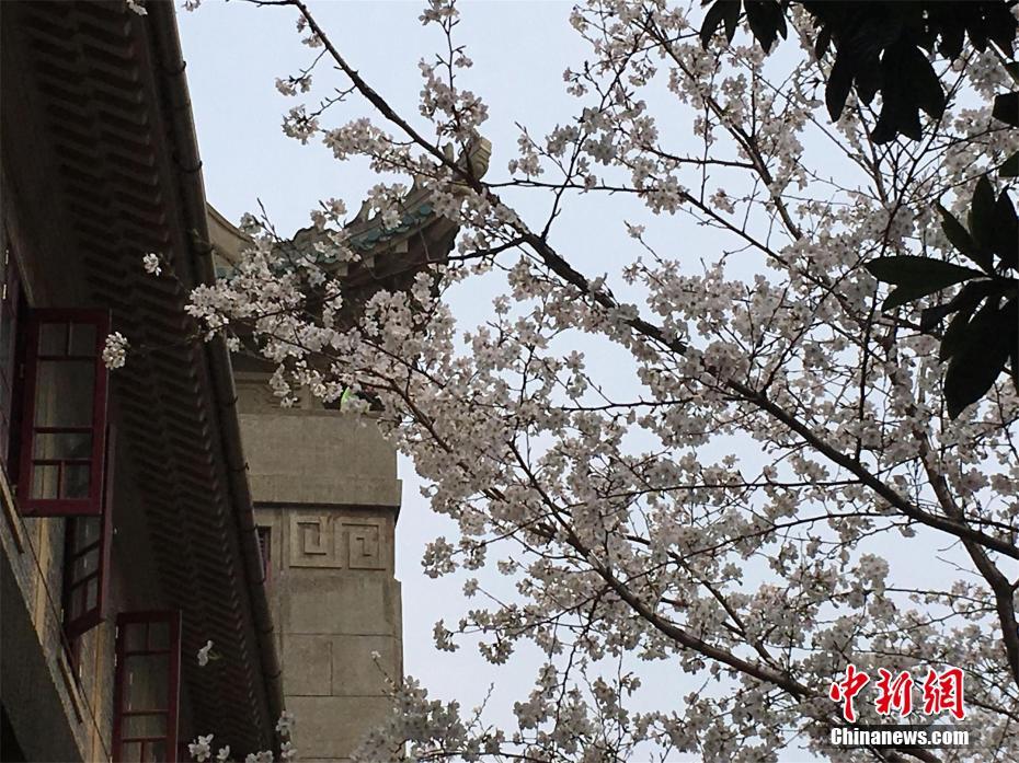 【51吃瓜黑料入口首页】蘑菇车联在海口布置“AI才智路口”