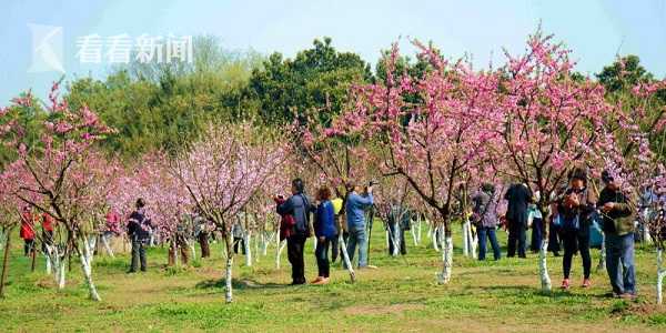 【黑料百科】多元化事务协同发力 浙江龙盛上一年营收净利双增长