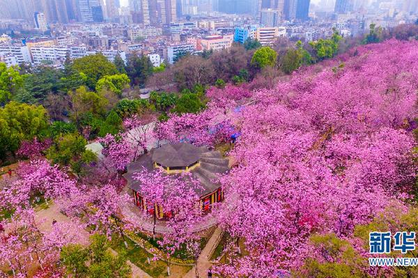 【吃瓜 在线】中金公司：看好我国关税方针下半导体规划和制作等环节的国产代替机会